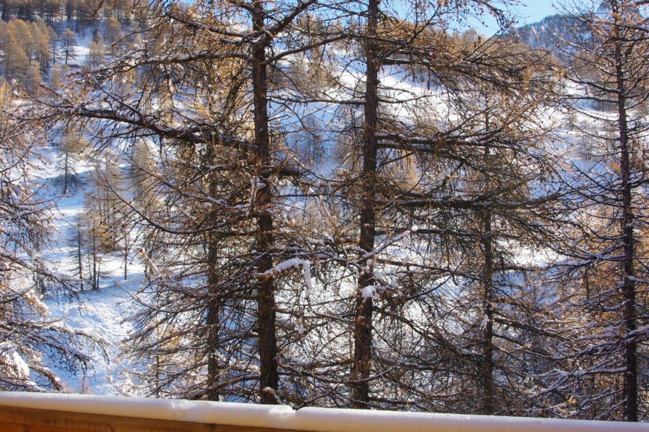 Spacieux Et Fonctionnel Dans Ecrin Des Neiges Вар Экстерьер фото